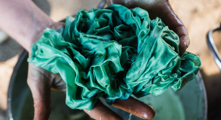 An Indigo Deep Dive With The Dogwood Dyer