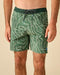 Apex Evolution Trunk By Kelly Slater 17