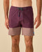 Apex Evolution Trunk By Kelly Slater 17